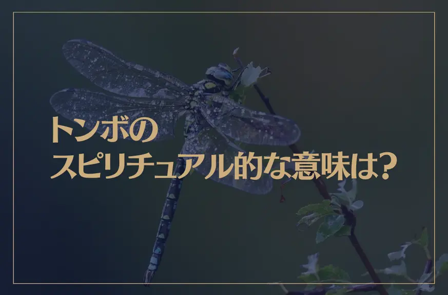 トンボのスピリチュアル的な意味は？黒いトンボは？神社で見かけたら？