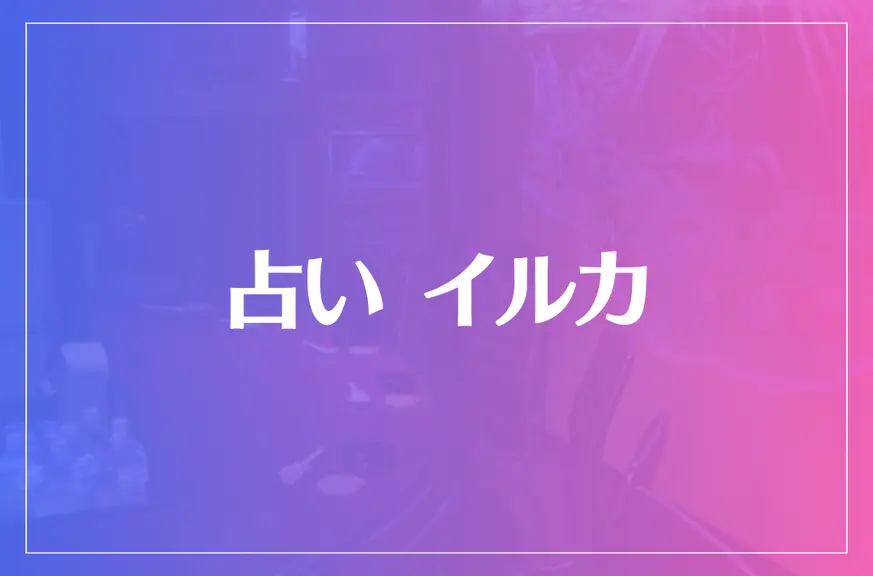 占い イルカは当たる？当たらない？参考になる口コミをご紹介！