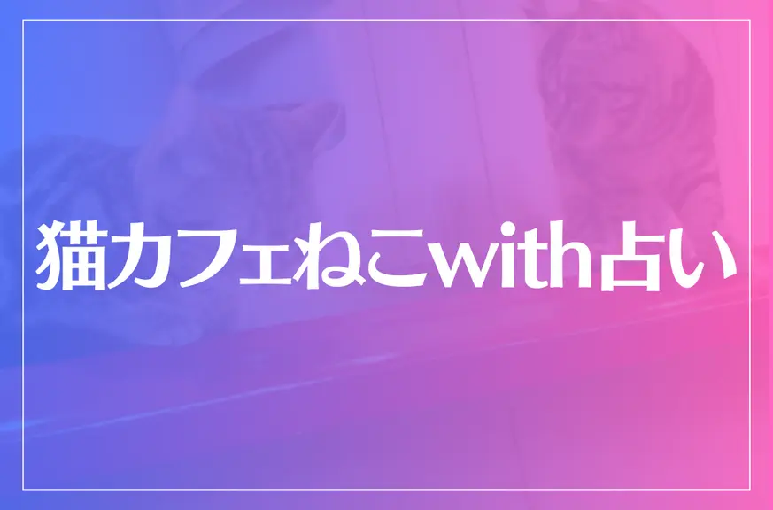 猫カフェねこwith占いは当たる？当たらない？参考になる口コミをご紹介！