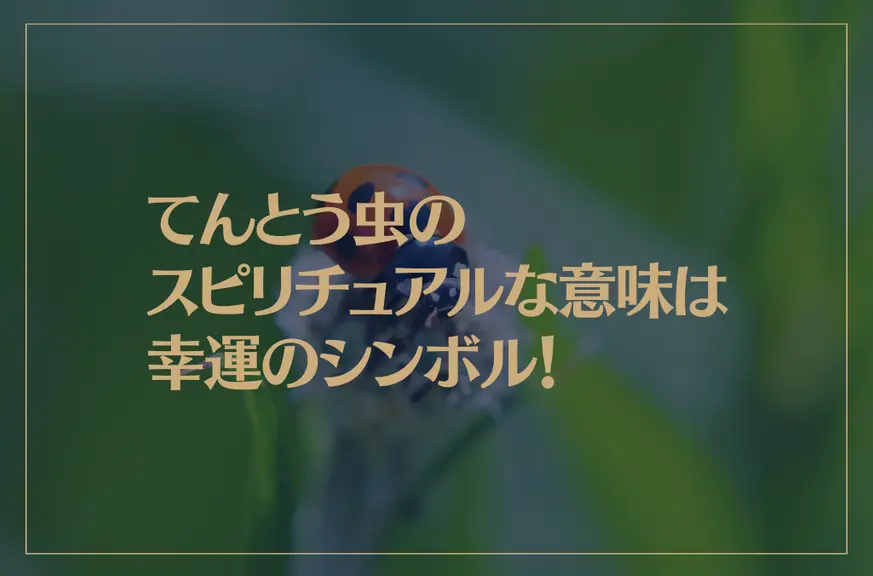 てんとう虫のスピリチュアルな意味は幸運のシンボル！