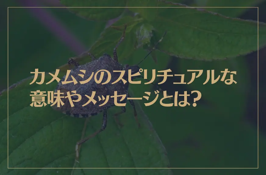 カメムシのスピリチュアルな意味やメッセージとは？