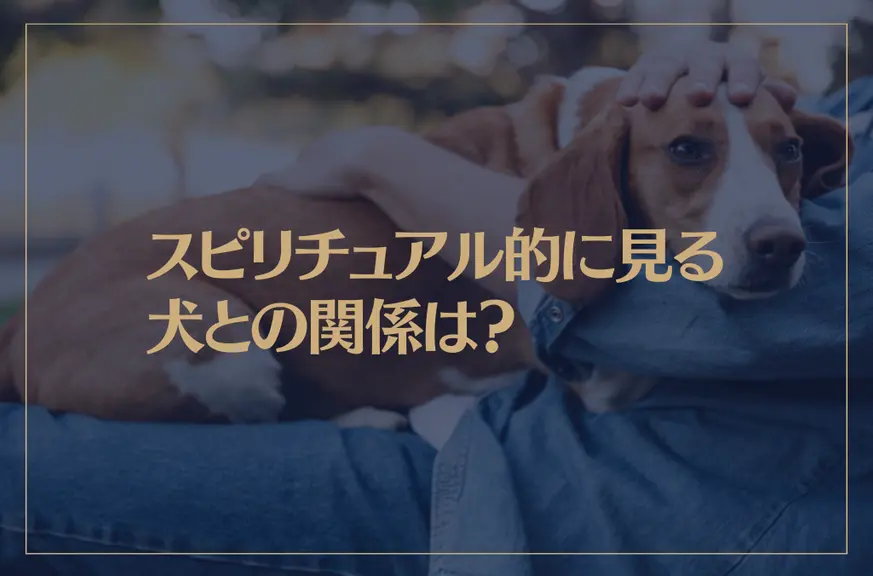 スピリチュアル的に見る犬との関係は？ペットとして飼うことの意味は？好かれる人吠えられる人の特徴は？