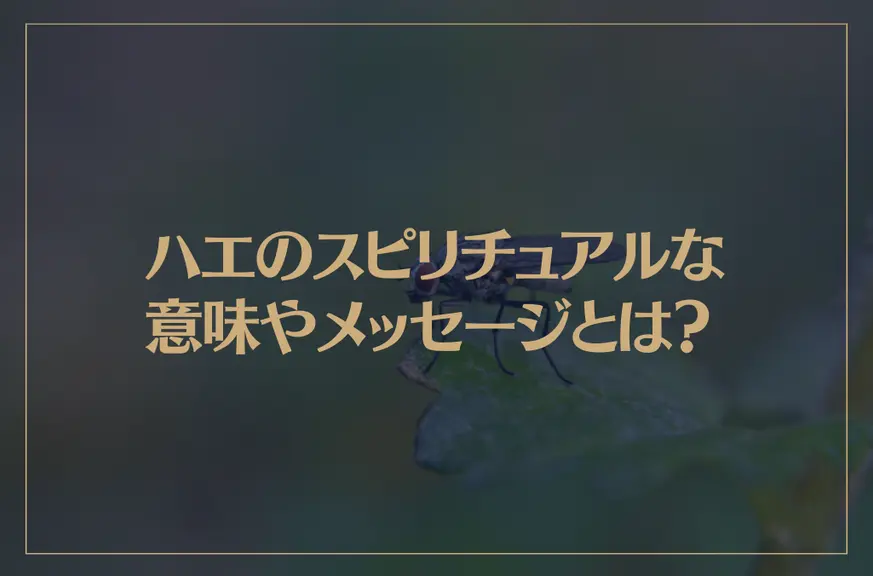 ハエのスピリチュアルな意味やメッセージとは？金運アップの予兆？体調不良の証？