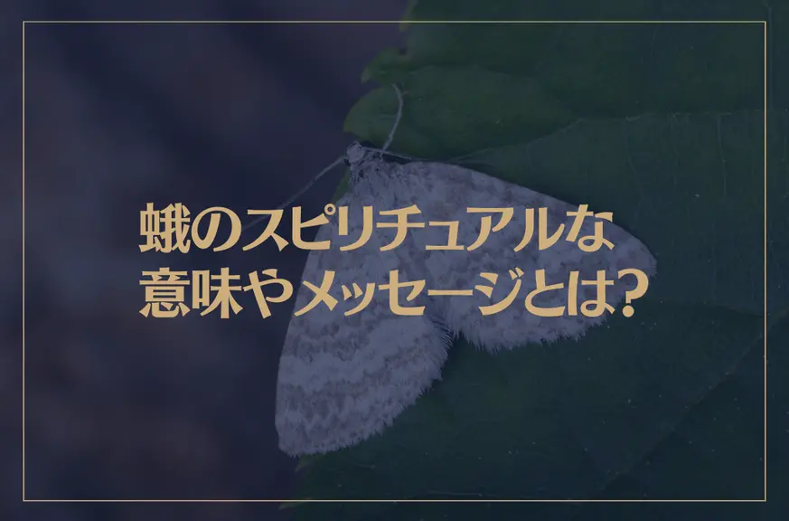 蛾のスピリチュアルな意味やメッセージとは？白い蛾は幸運を運ぶ？