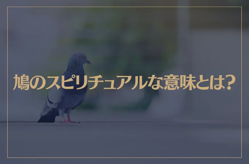 鳩のスピリチュアルな意味とは？白い鳩は幸運の証？つがいの鳩が持つメッセージは？