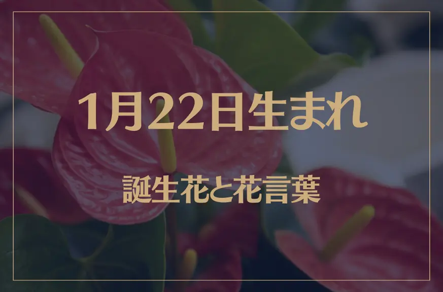 1月22日の誕生花と花言葉がコレ！性格や恋愛・仕事などの誕生日占いもご紹介！