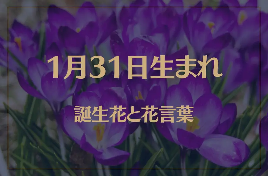 1月31日の誕生花と花言葉がコレ！性格や恋愛・仕事などの誕生日占いもご紹介！