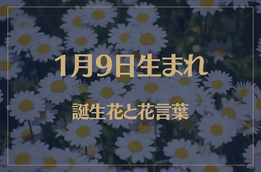 1月9日の誕生花と花言葉がコレ！性格や恋愛・仕事などの誕生日占いもご紹介！