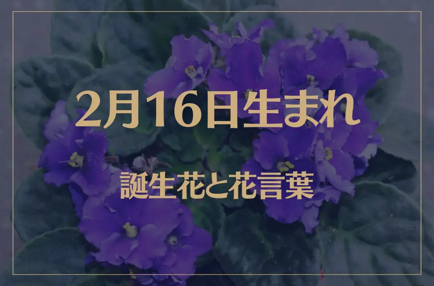 2月16日の誕生花と花言葉がコレ！性格や恋愛・仕事などの誕生日占いもご紹介！