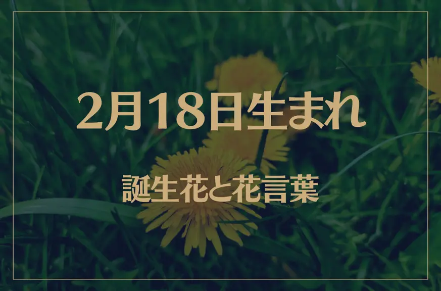 2月18日の誕生花と花言葉がコレ！性格や恋愛・仕事などの誕生日占いもご紹介！