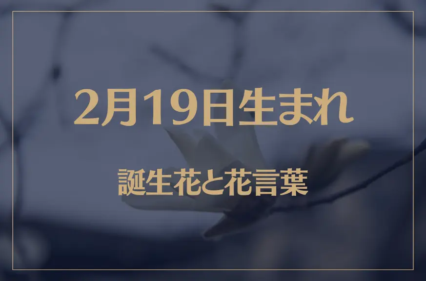 2月19日の誕生花と花言葉がコレ！性格や恋愛・仕事などの誕生日占いもご紹介！