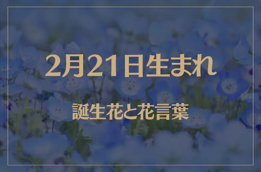 2月21日の誕生花と花言葉がコレ！性格や恋愛・仕事などの誕生日占いもご紹介！