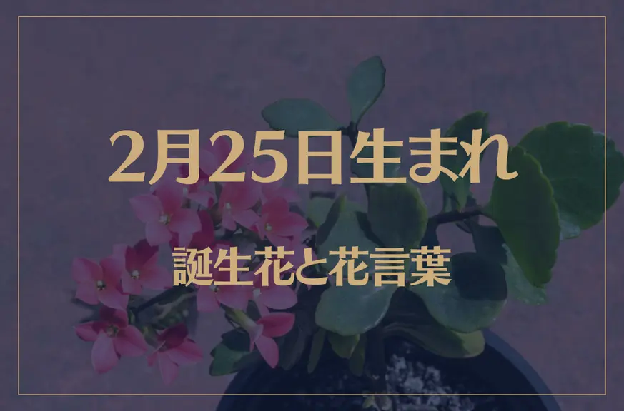 2月25日の誕生花と花言葉がコレ！性格や恋愛・仕事などの誕生日占いもご紹介！