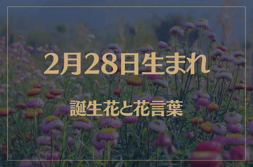 2月28日の誕生花と花言葉がコレ！性格や恋愛・仕事などの誕生日占いもご紹介！