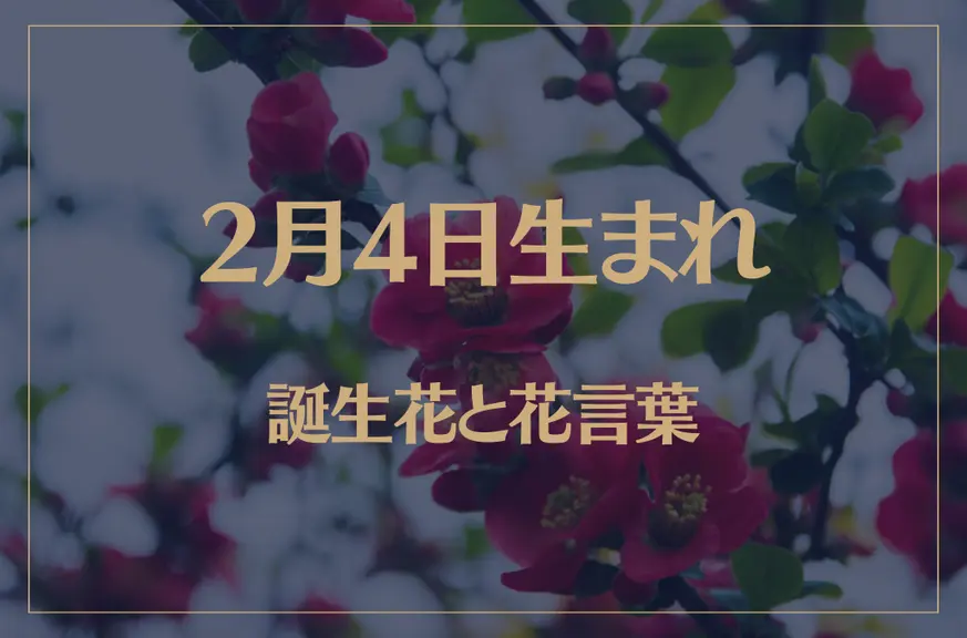 2月4日の誕生花と花言葉がコレ！性格や恋愛・仕事などの誕生日占いもご紹介！