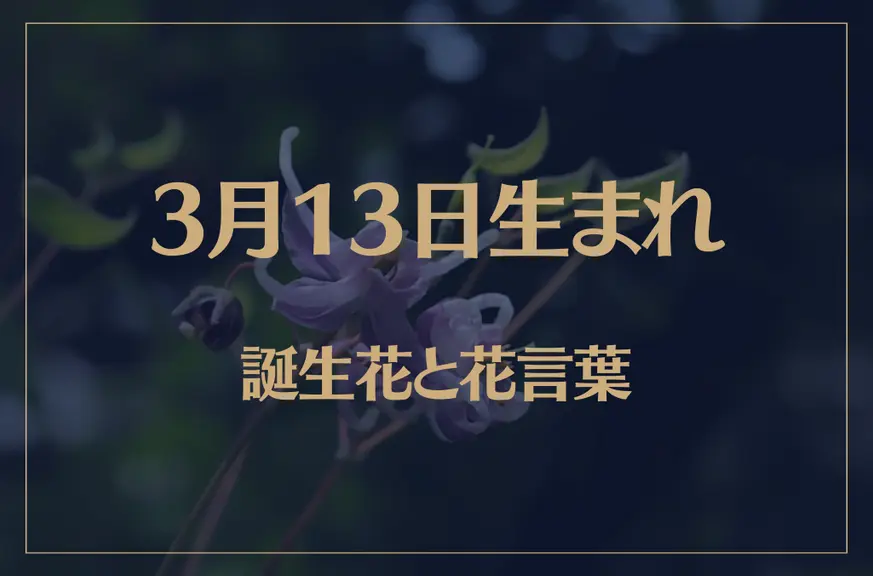 3月13日の誕生花と花言葉がコレ！性格や恋愛・仕事などの誕生日占いもご紹介！