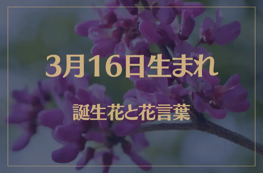 3月16日の誕生花と花言葉がコレ！性格や恋愛・仕事などの誕生日占いもご紹介！