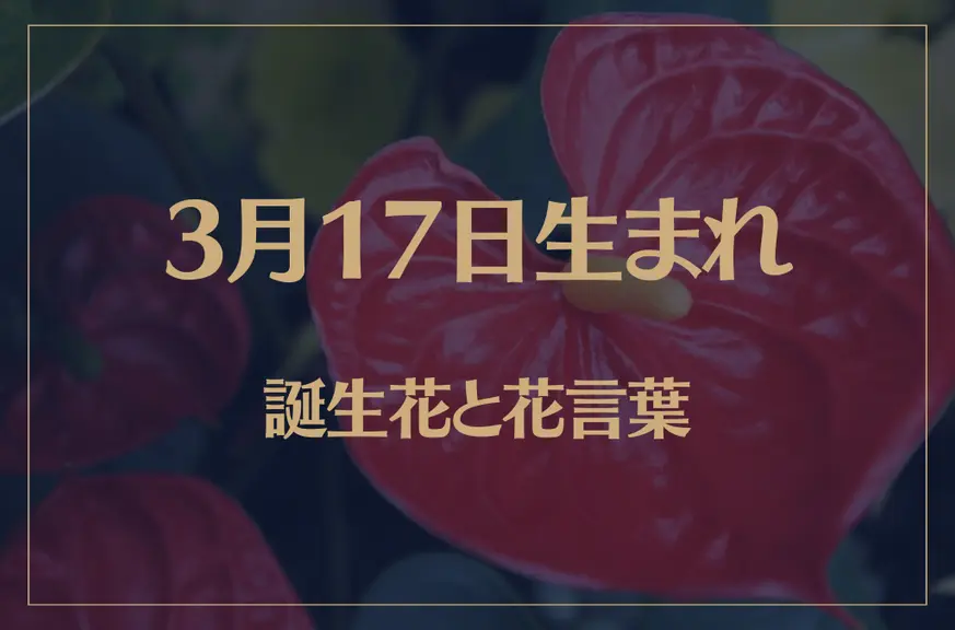 3月17日の誕生花と花言葉がコレ！性格や恋愛・仕事などの誕生日占いもご紹介！