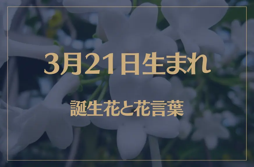 3月21日の誕生花と花言葉がコレ！性格や恋愛・仕事などの誕生日占いもご紹介！