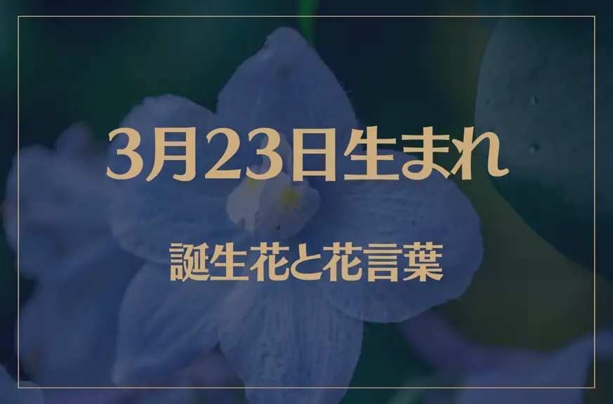 3月23日の誕生花と花言葉がコレ！性格や恋愛・仕事などの誕生日占いもご紹介！