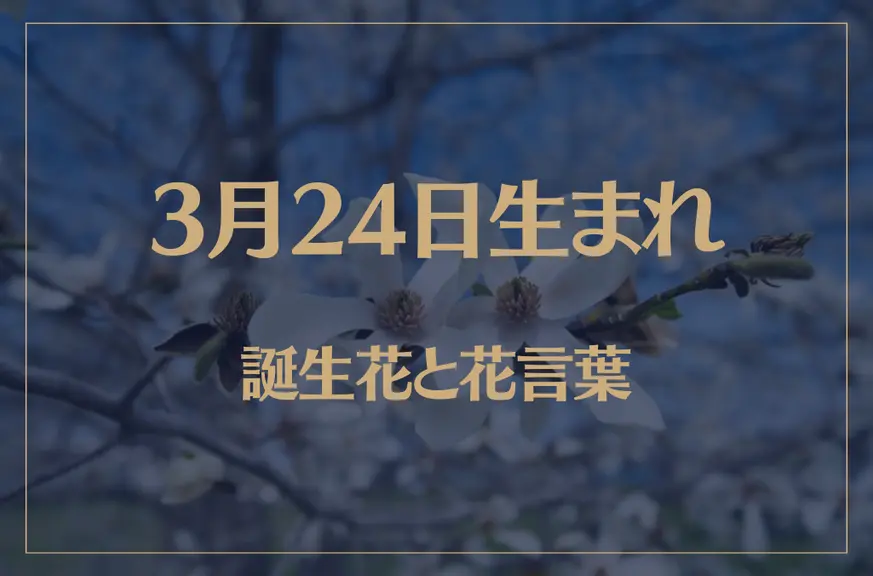 3月24日の誕生花と花言葉がコレ！性格や恋愛・仕事などの誕生日占いもご紹介！