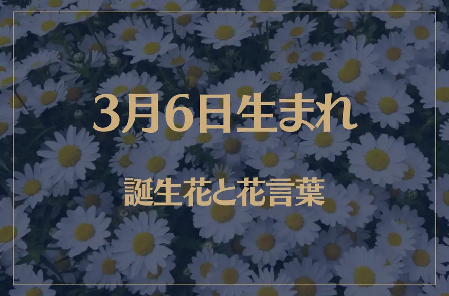 3月6日の誕生花と花言葉がコレ！性格や恋愛・仕事などの誕生日占いもご紹介！