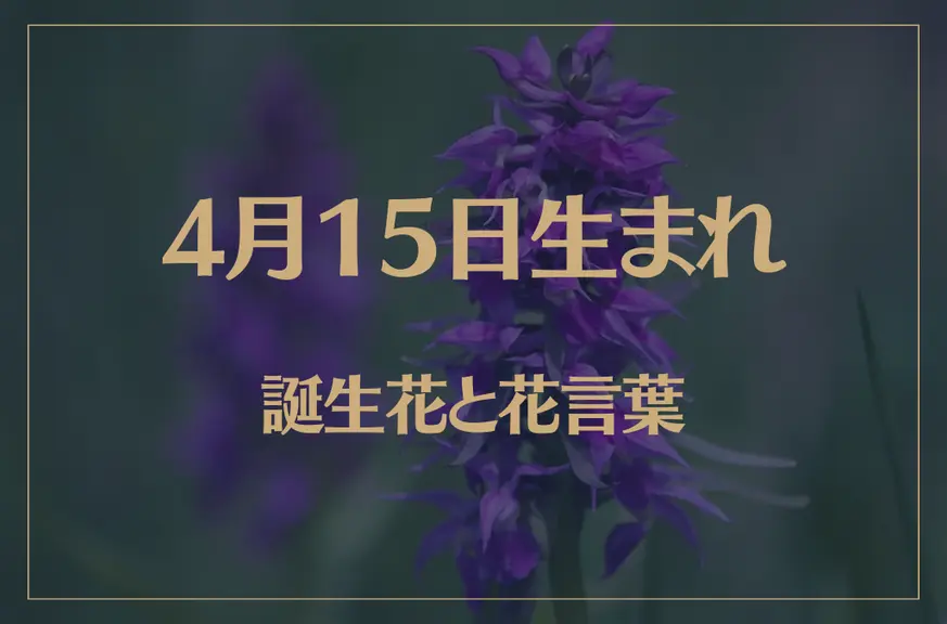 4月15日の誕生花と花言葉がコレ！性格や恋愛・仕事などの誕生日占いもご紹介！