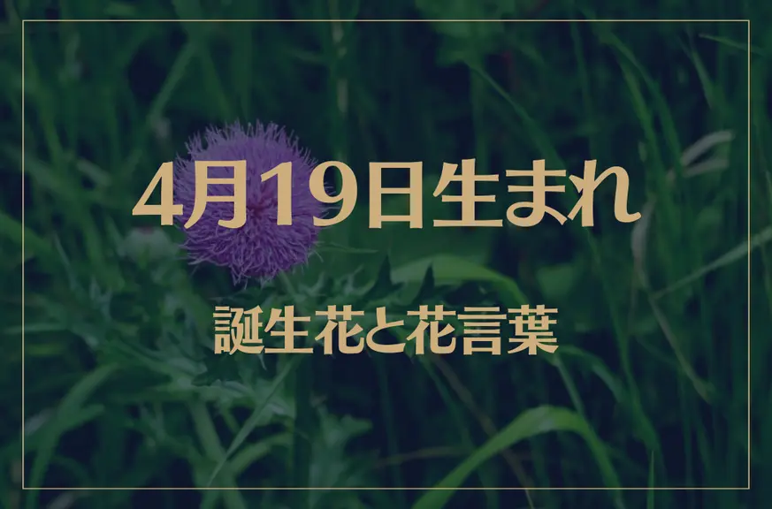 4月19日の誕生花と花言葉がコレ！性格や恋愛・仕事などの誕生日占いもご紹介！