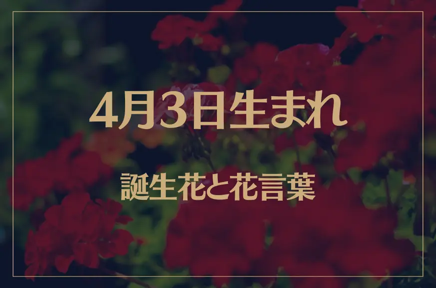 4月3日の誕生花と花言葉がコレ！性格や恋愛・仕事などの誕生日占いもご紹介！