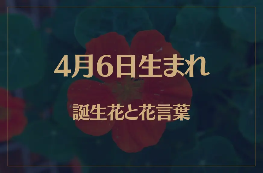 4月6日の誕生花と花言葉がコレ！性格や恋愛・仕事などの誕生日占いもご紹介！