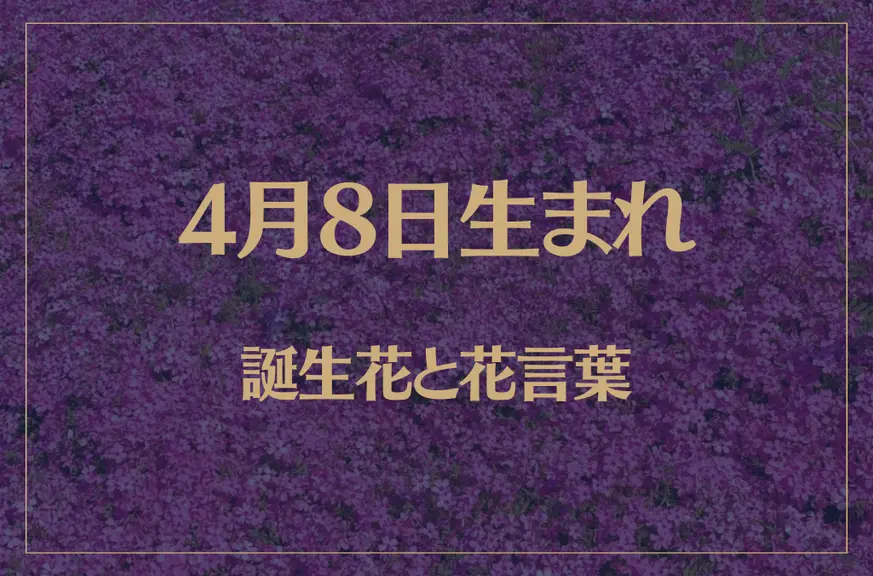 4月8日の誕生花と花言葉がコレ！性格や恋愛・仕事などの誕生日占いもご紹介！