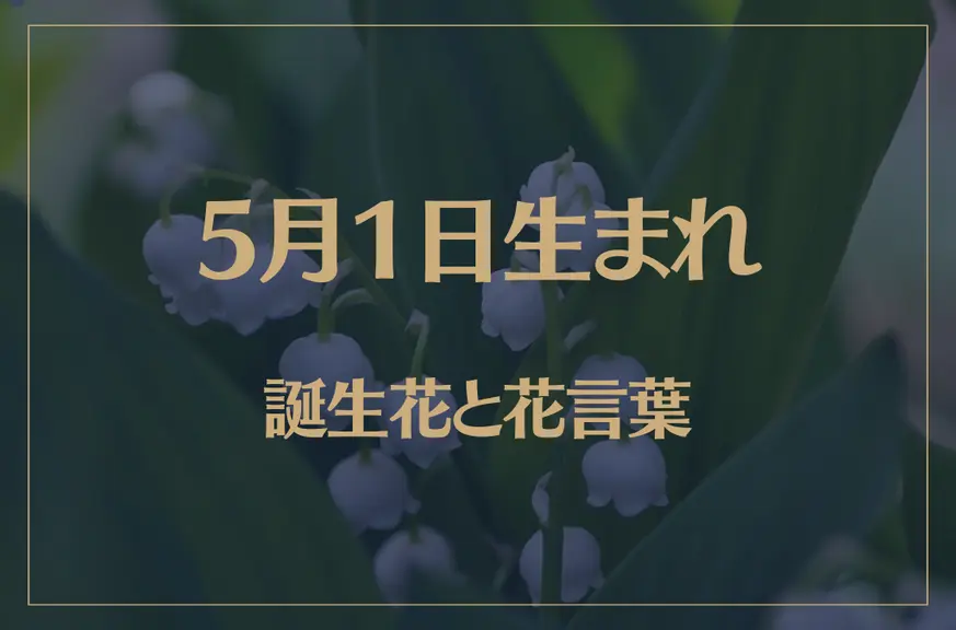 5月1日の誕生花と花言葉がコレ！性格や恋愛・仕事などの誕生日占いもご紹介！