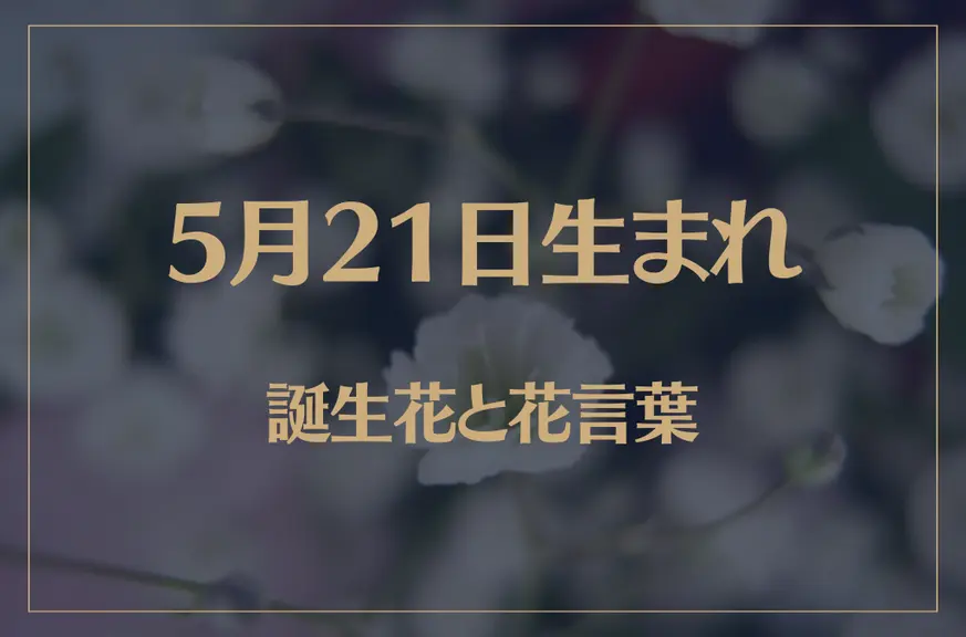 5月21日の誕生花と花言葉がコレ！性格や恋愛・仕事などの誕生日占いもご紹介！