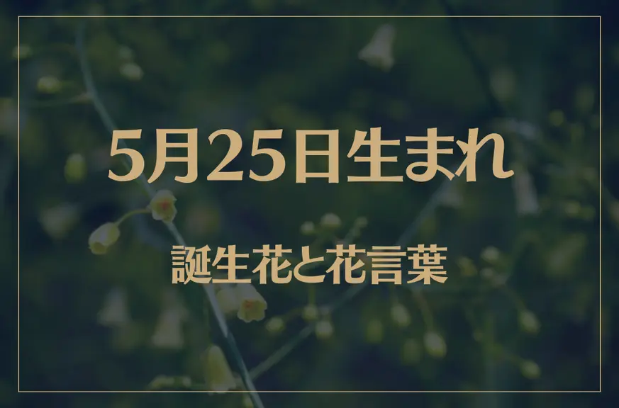 5月25日の誕生花と花言葉がコレ！性格や恋愛・仕事などの誕生日占いもご紹介！