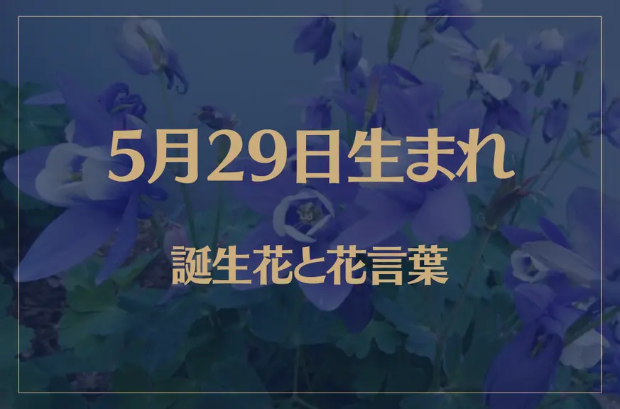 5月29日の誕生花と花言葉がコレ！性格や恋愛・仕事などの誕生日占いもご紹介！