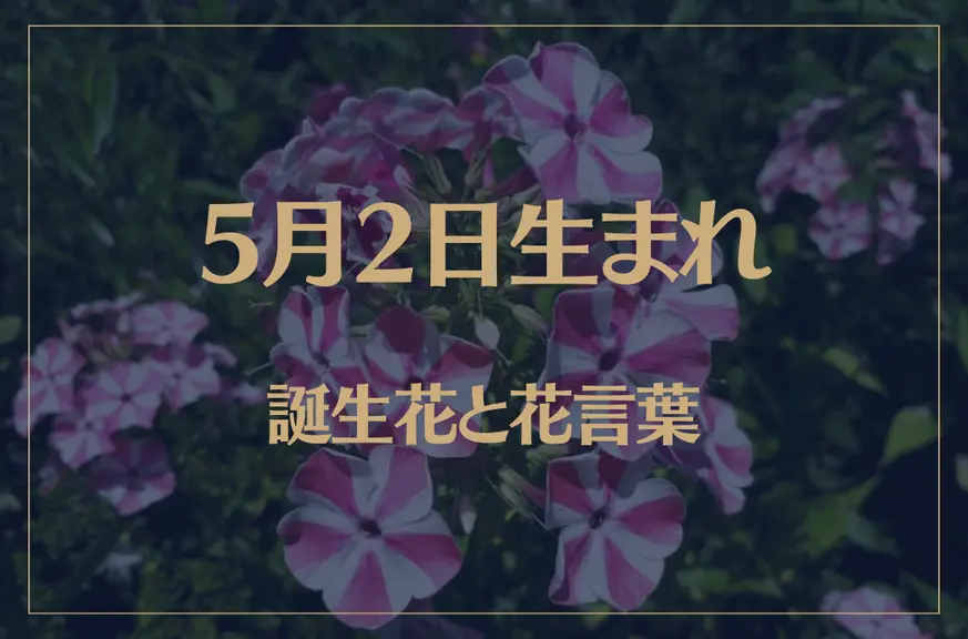 5月2日の誕生花と花言葉がコレ！性格や恋愛・仕事などの誕生日占いもご紹介！