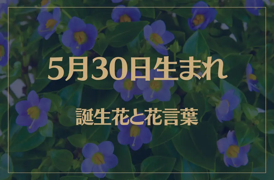 5月30日の誕生花と花言葉がコレ！性格や恋愛・仕事などの誕生日占いもご紹介！