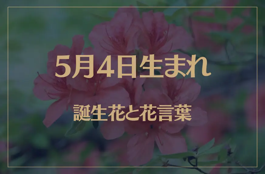 5月4日の誕生花と花言葉がコレ！性格や恋愛・仕事などの誕生日占いもご紹介！