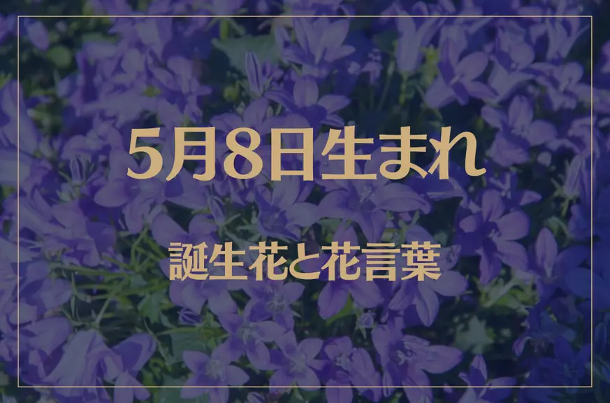 5月8日の誕生花と花言葉がコレ！性格や恋愛・仕事などの誕生日占いもご紹介！