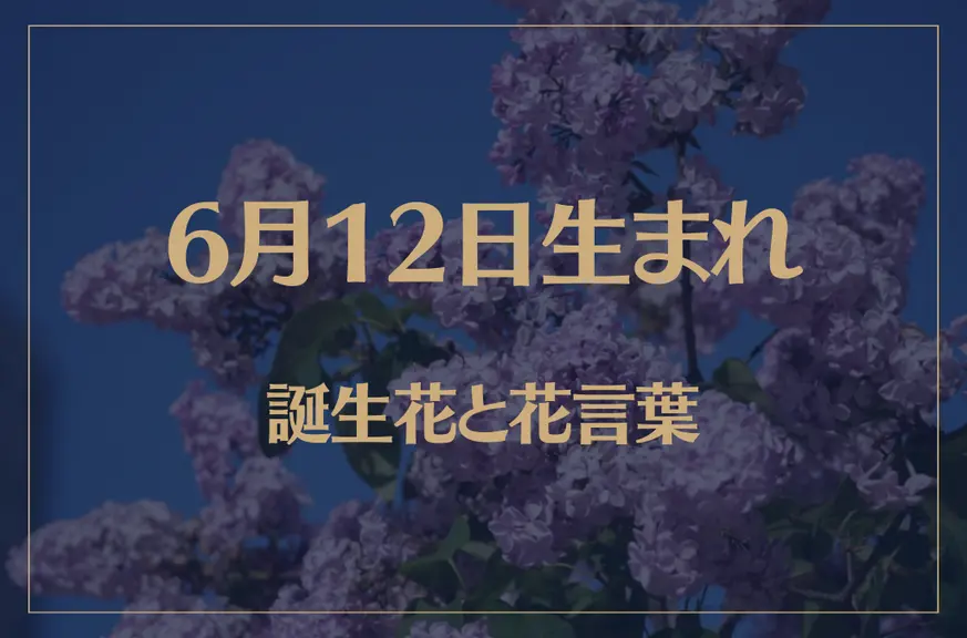 6月12日の誕生花と花言葉がコレ！性格や恋愛・仕事などの誕生日占いもご紹介！