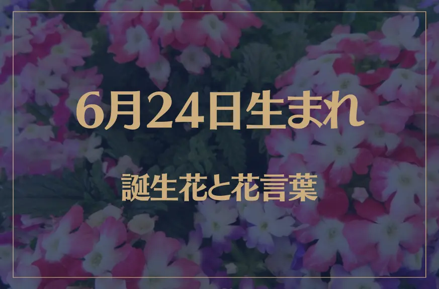 6月24日の誕生花と花言葉がコレ！性格や恋愛・仕事などの誕生日占いもご紹介！