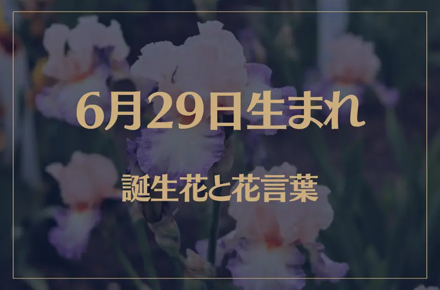 6月29日の誕生花と花言葉がコレ！性格や恋愛・仕事などの誕生日占いもご紹介！