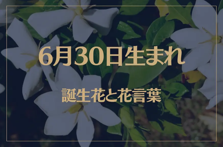 6月30日の誕生花と花言葉がコレ！性格や恋愛・仕事などの誕生日占いもご紹介！