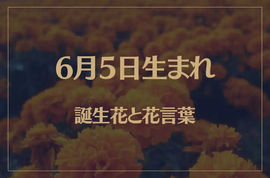 6月5日の誕生花と花言葉がコレ！性格や恋愛・仕事などの誕生日占いもご紹介！