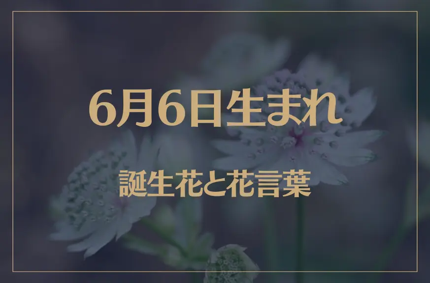 6月6日の誕生花と花言葉がコレ！性格や恋愛・仕事などの誕生日占いもご紹介！