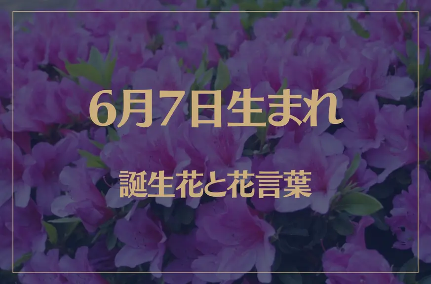 6月7日の誕生花と花言葉がコレ！性格や恋愛・仕事などの誕生日占いもご紹介！