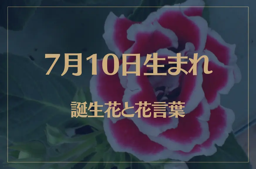 7月10日の誕生花と花言葉がコレ！性格や恋愛・仕事などの誕生日占いもご紹介！