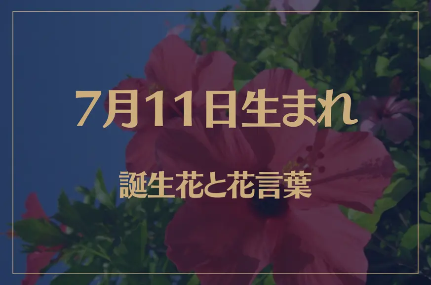 7月11日の誕生花と花言葉がコレ！性格や恋愛・仕事などの誕生日占いもご紹介！