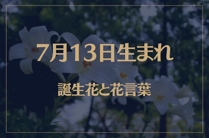 7月13日の誕生花と花言葉がコレ！性格や恋愛・仕事などの誕生日占いもご紹介！