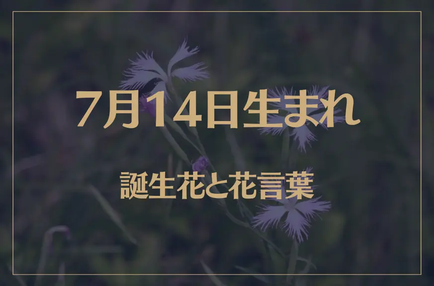 7月14日の誕生花と花言葉がコレ！性格や恋愛・仕事などの誕生日占いもご紹介！